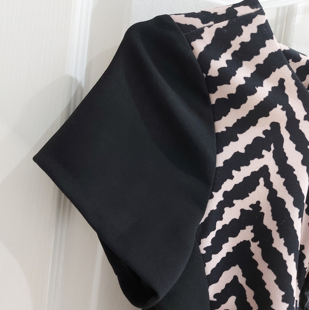 Sandro Ferrone Roma | Sheath Dress - Picture 5 of 16